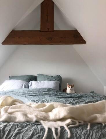 Beautiful Cosy Apartments In The Heart Of Antwerpen Bagian luar foto